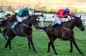 Champion Bumper Live Stream - Watch the Cheltenham race online