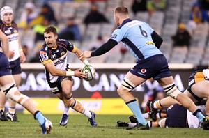 Brumbies