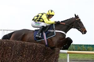 2021 Arkle Tips – Can Shishkin win at Cheltenham again?