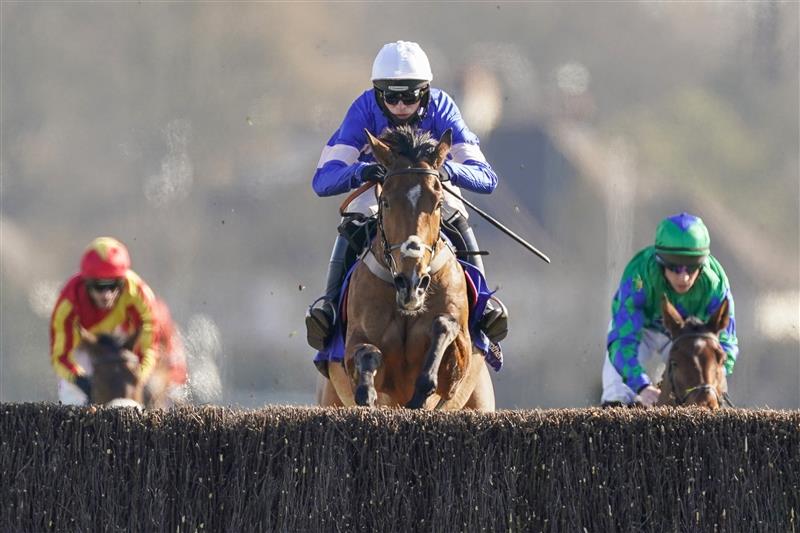 SUNBURY, ENGLAND - FEBRUARY 27: Harry Cobden riding Tamaroc Du Mathan clear the last to win The Close Brothers Pendil Novices' Chase at Kempton Park Racecourse on February 27, 2021 in Sunbury, England. Due to the coronavirus pandemic, owners along with the paying public will not be allowed to attend the meeting. (Photo by Alan Crowhurst/Getty Images)