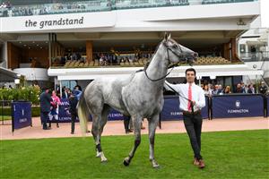 MELBOURNE, AUSTRALIA - FEBRUARY 27: Fabergino after winning race 5, the Ata/bob Hoysted Handicap, during Melbourne Racing at Flemington Racecourse on February 27, 2021 in Melbourne, Australia. (Photo by Vince Caligiuri/Getty Images)