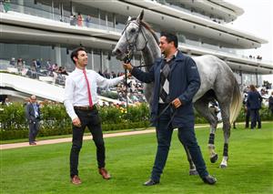 MELBOURNE, AUSTRALIA - FEBRUARY 27: Fabergino after winning race 5, the Ata/bob Hoysted Handicap, during Melbourne Racing at Flemington Racecourse on February 27, 2021 in Melbourne, Australia. (Photo by Vince Caligiuri/Getty Images)