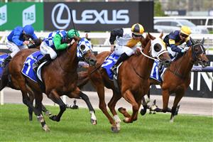 MELBOURNE, AUSTRALIA - FEBRUARY 27: Damian Lane riding Star of the Seas winning race 6, the Darley Blamey Stakes, during Melbourne Racing at Flemington Racecourse on February 27, 2021 in Melbourne, Australia. (Photo by Vince Caligiuri/Getty Images)