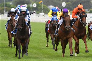 MELBOURNE, AUSTRALIA - FEBRUARY 27: Damian Lane riding Cappricio winning Race 8, the Inglis Dash, during Melbourne Racing at Flemington Racecourse on February 27, 2021 in Melbourne, Australia. (Photo by Vince Caligiuri/Getty Images)