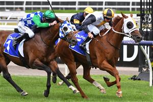 MELBOURNE, AUSTRALIA - FEBRUARY 27: Damian Lane riding Star of the Seas winning race 6, the Darley Blamey Stakes, during Melbourne Racing at Flemington Racecourse on February 27, 2021 in Melbourne, Australia. (Photo by Vince Caligiuri/Getty Images)