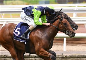 MELBOURNE, AUSTRALIA - FEBRUARY 27: Jamie Mott riding Tycoon Humma winning Race 1, The Very Special Kids Plate, during Melbourne Racing at Flemington Racecourse on February 27, 2021 in Melbourne, Australia. (Photo by Vince Caligiuri/Getty Images)
