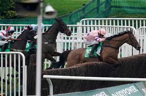 2021 Paddy Power Plate Tips – Two arrows to fire at St Patrick's day prize