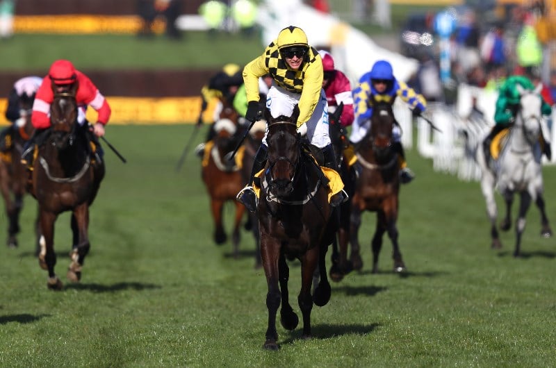 Cheltenham Festival 2025 Schedule And Dates Ally Lulita