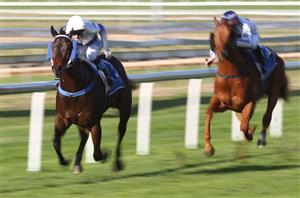 Townsville Betting Tips