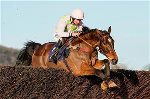 2021 National Hunt Chase Odds - Royal Pagaille tops list of 16 entries
