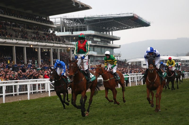 CR Champion Bumper Cheltenham 1255 