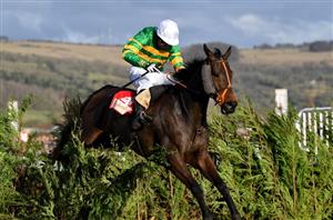 2021 Cross Country Chase Odds - Easysland and Tiger Roll clash again at Cheltenham