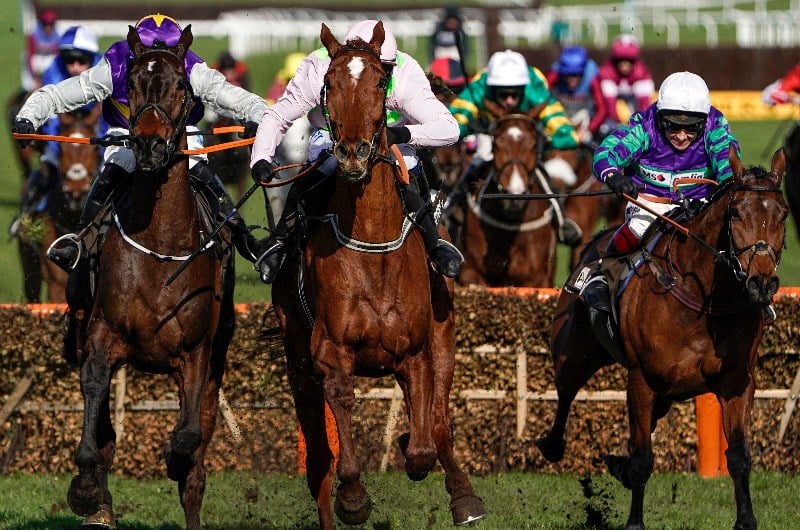 Cheltenham Festival Live Stream - Watch all 28 races live online