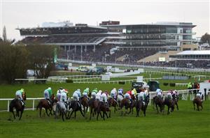 National Hunt Chase Live Stream - Watch the Cheltenham Festival race live