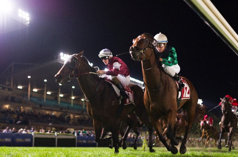 William Reid Stakes Betting Odds