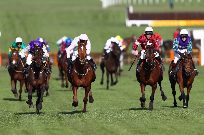 Albert Bartlett Novices' Hurdle Live Stream - Watch the Cheltenham race online