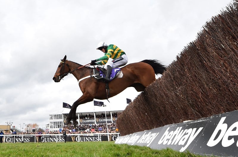rsa chase cheltenham