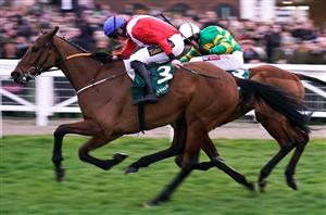 Champion Bumper Live Stream - Watch the Cheltenham Festival race live