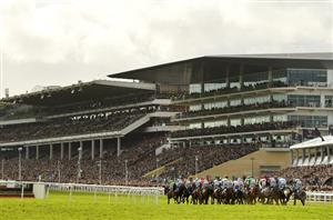 Coral Cup Live Stream - Watch the Cheltenham Festival race live