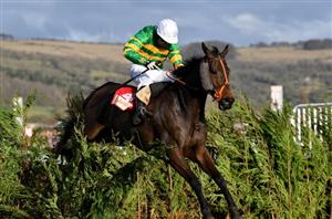 Cross Country Chase Live Stream - Watch the Cheltenham Festival race live