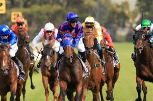 Rosehill Highlights from 13.03.2021