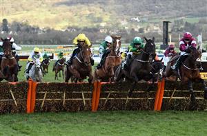 2021 County Hurdle Odds - 45 remain in handicap running