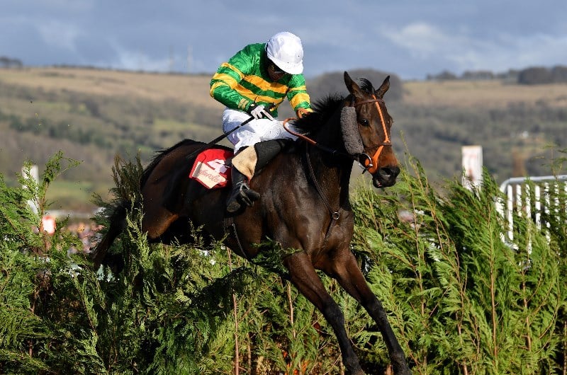 Cross Country Chase cheltenham