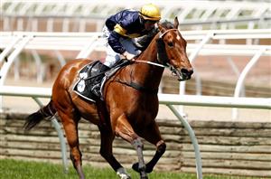 William Pike secures Masked Crusader & Mount Popa rides