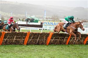 Mares Novices' Hurdle Live Stream - Watch the Cheltenham Festival race live