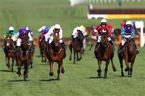 Albert Bartlett Novices' Hurdle Live Stream - Watch the Cheltenham Festival race live