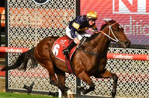 Moonee Valley Highlights - William Reid Stakes Night (Pictures)