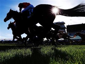 Strathalbyn tips
