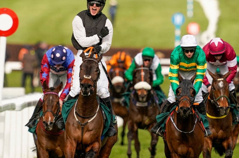 Stayers hurdle betting bitcoin addict thailand