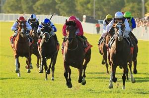Hawkesbury Tips for 16.03.2021