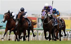 Rockhampton racecourse static