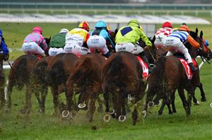 pinjarra tips for 20.05.2020