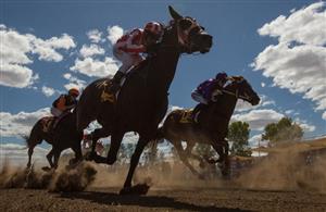 Darwin racecourse static