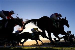 Port Macquarie Tips
