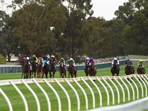 bendigo tips