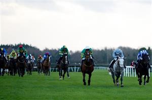 2021 Irish Grand National Odds - Novices dominate Fairyhouse betting