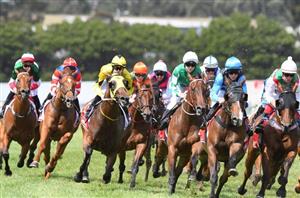 Geraldton Racing Tips for 05.02.2020