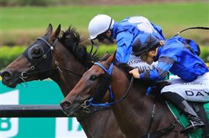 Grafton cup Day 2020 tips
