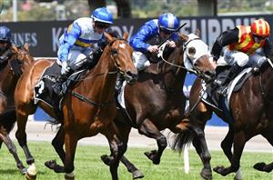 Hobart Tips for 05.02.2021