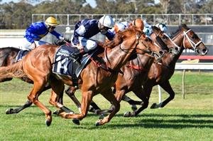 Kyneton Tips
