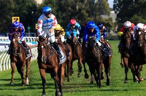 Rosehill Highlights - Golden Slipper Day (Pictures)