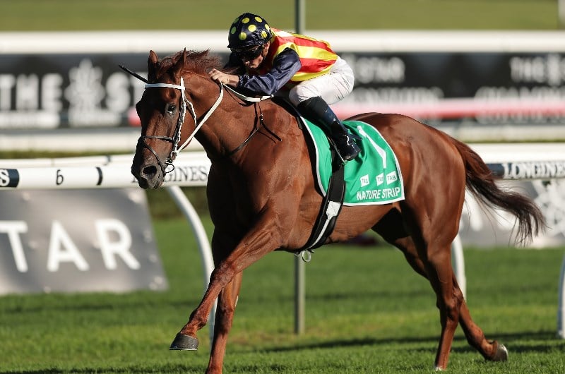 TJ Smith Stakes Betting Odds
