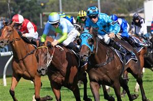 Big Bets Results from March 27