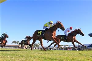 Canberra Tips for 05.02.2021
