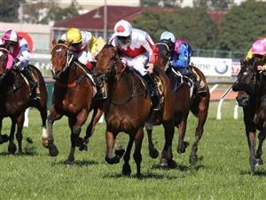 Ipswich Tips for Wednesday, October 30