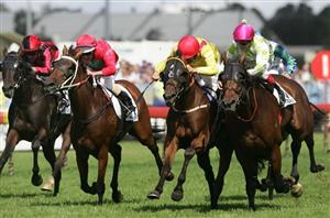 Coffs Harbour Tips